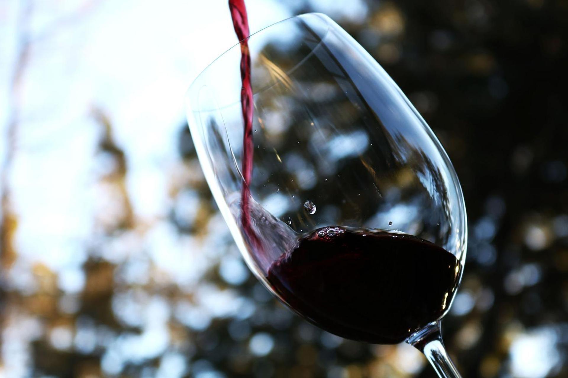 Calfuco Wine & Hotel