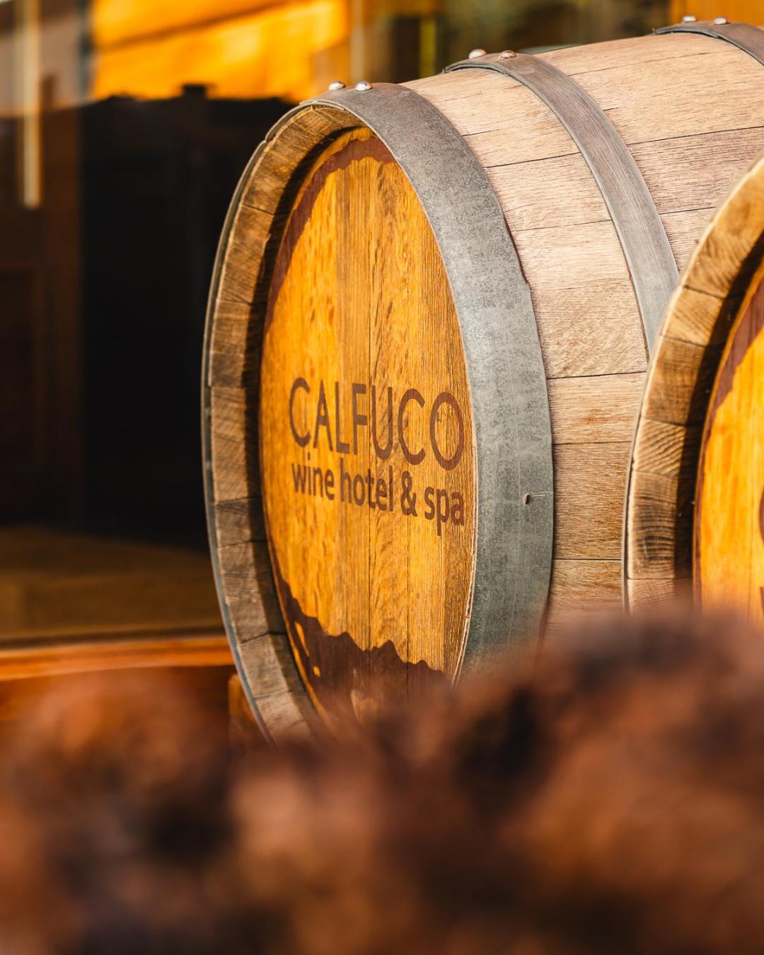 Calfuco Wine & Hotel 5*